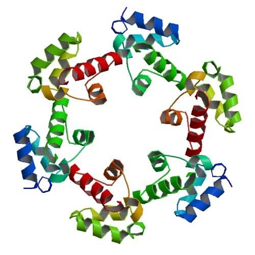 Abbildung: Die Struktur der SAM-Domäne der Diacylglycerolkinase delta1.